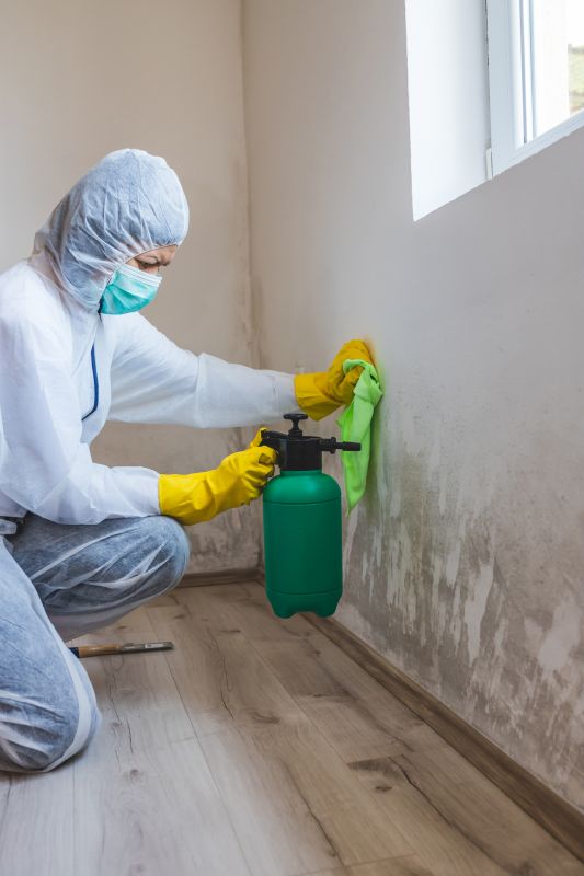 Mold Prevention Strategies