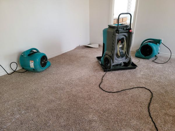 Flood Damage Repair in Gainesville