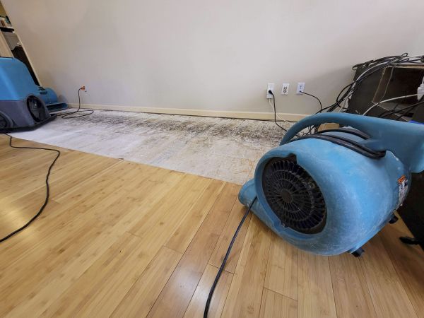 Water Damage Mitigation in Gainesville