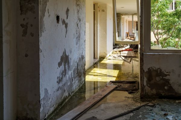 Water Removal Service in Gainesville