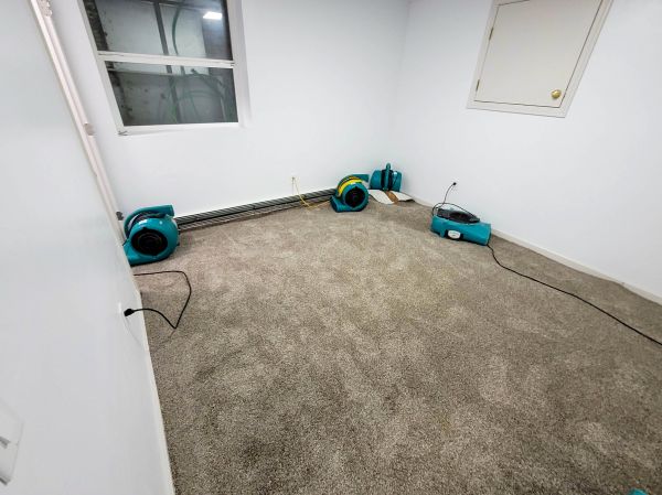 Flood Restoration Service in Gainesville