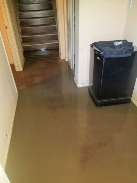 Emergency Water Removal in Gainesville
