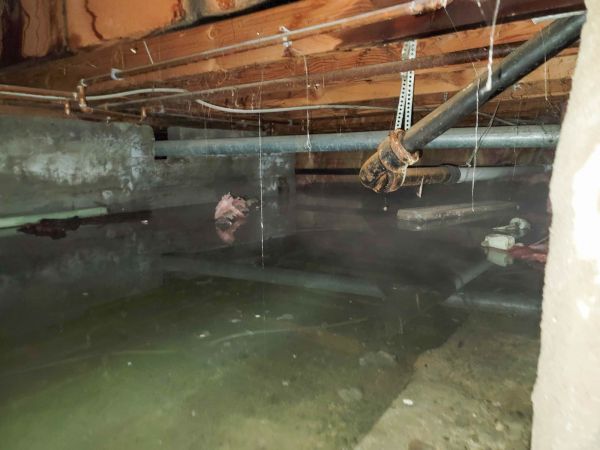 Crawl Space Drying in Gainesville