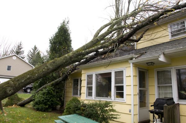 Hurricane Damage Repair in Gainesville