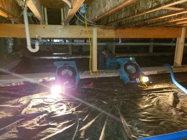 Crawlspace Water Removal in Gainesville